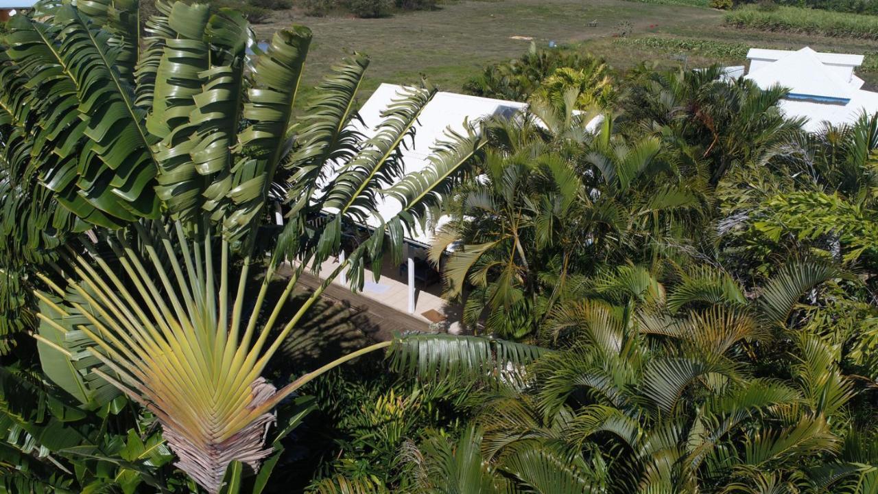 Gite Le Colibri Bungalow Azur Avec Reserve D'Eau Сен-Франсуа Экстерьер фото